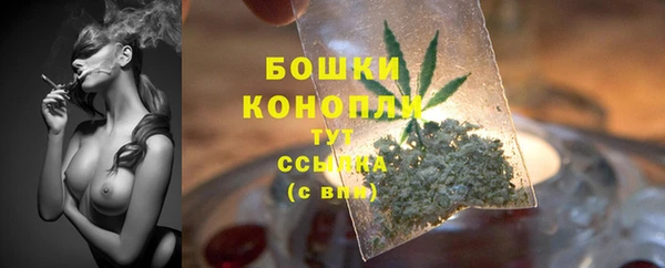 стафф Дмитровск