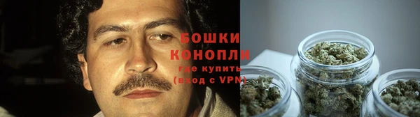 молекула духа Дмитров