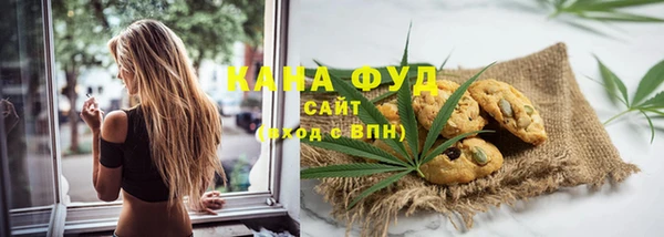 альфа пвп Гусиноозёрск