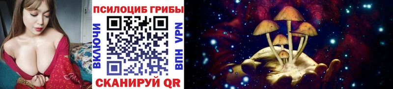kraken как войти  darknet Telegram  Галлюциногенные грибы прущие грибы  наркотики  Мамоново 